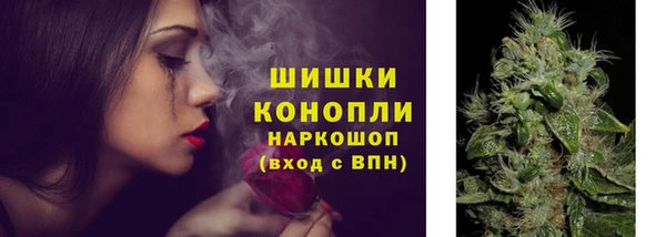 СК Белокуриха