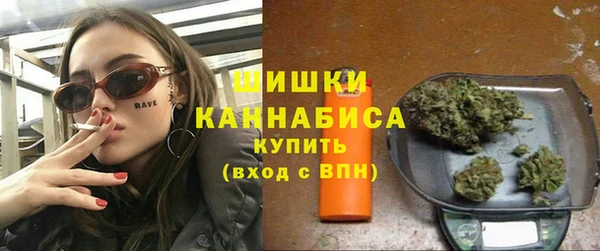 PSILOCYBIN Баксан