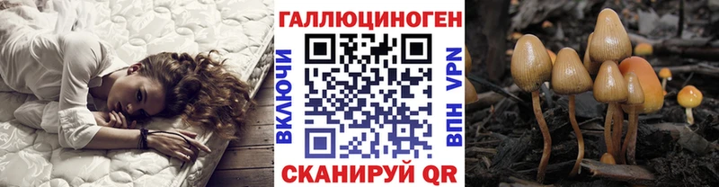 где купить наркоту  Верхнеуральск  Галлюциногенные грибы Cubensis 